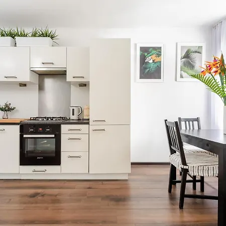 Designer On Plac Zamkowy Apartment
